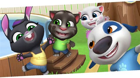 videos de gato tom|juego de tom gratis.